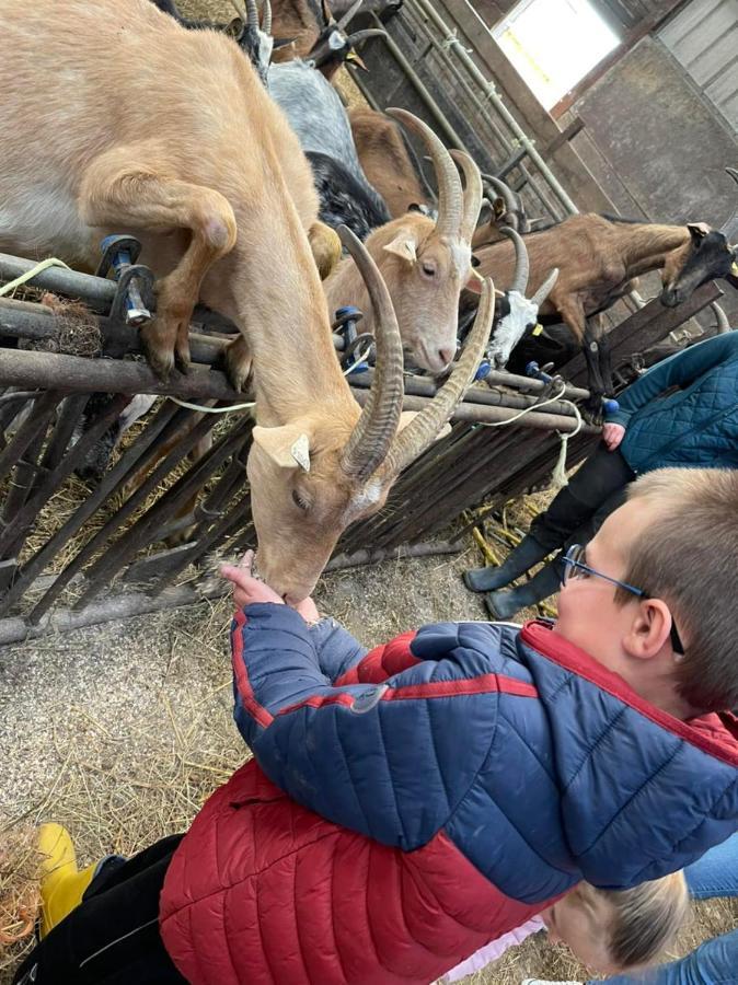 Kota A La Ferme Hotel Beaufort-en-Argonne Eksteriør billede